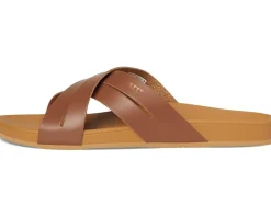 Cushion Spring Bloom