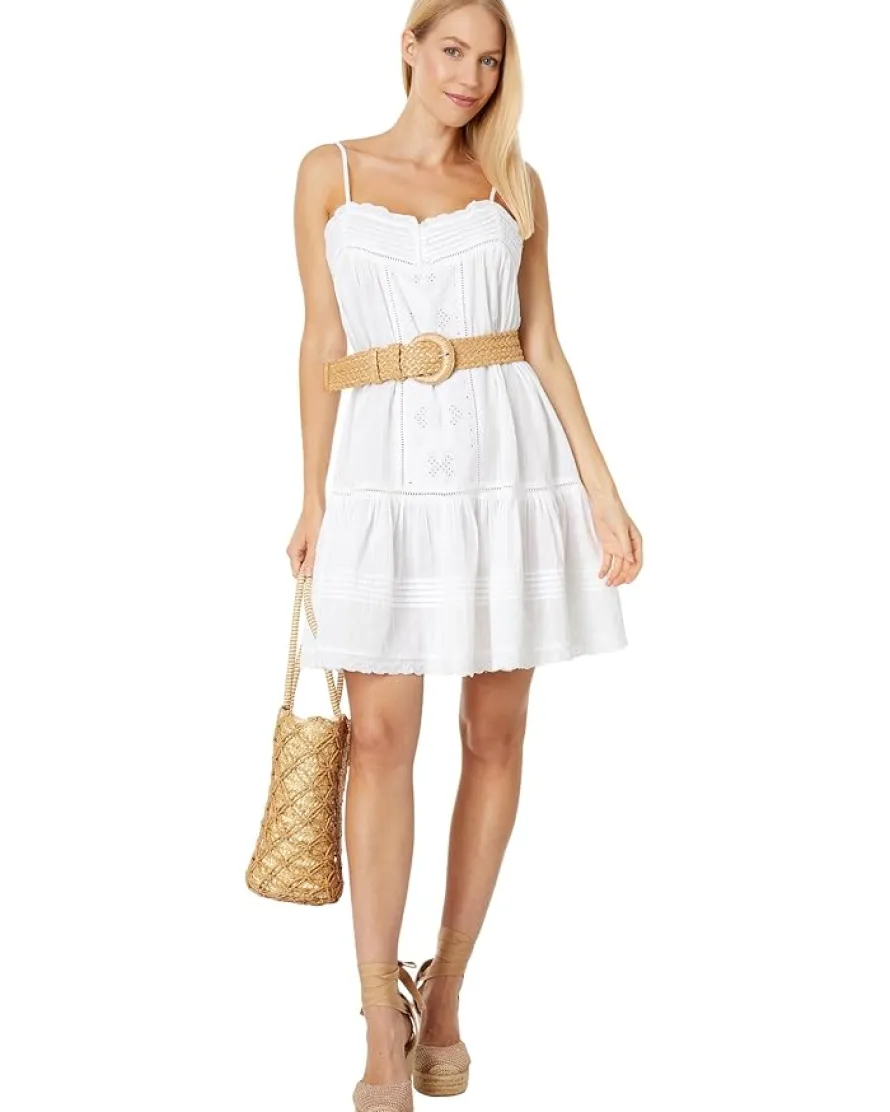 Drop Waist Embroidered Mini Dress