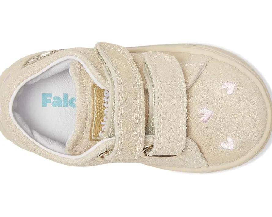 Falcotto Michael 3. (Toodler)