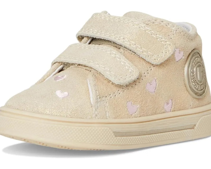 Falcotto Michael 3. (Toodler)