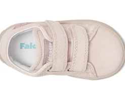 Falcotto Michael 3. (Toodler)