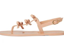 FELICITY MULTI JELLY