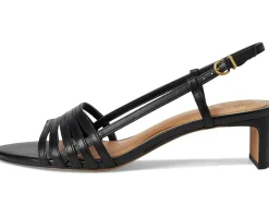 Layton Strappy Kitten Heel Sandals