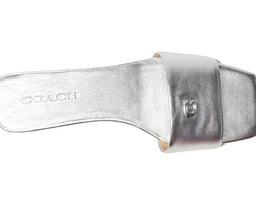 Sculpted C Metallic Leather Flat Sandals