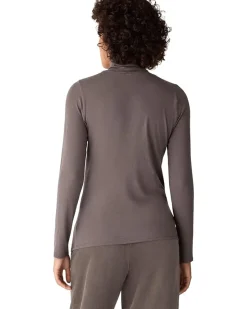 Sheer Knit Turtle Neck Top