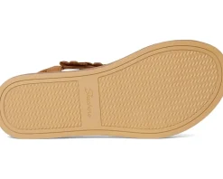 Summer Cove - Beach Bloom