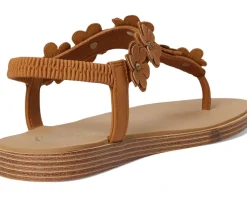 Summer Cove - Beach Bloom