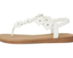 Summer Cove - Beach Bloom