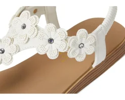 Summer Cove - Beach Bloom