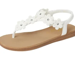 Summer Cove - Beach Bloom