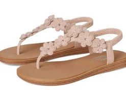 Summer Cove - Beach Bloom