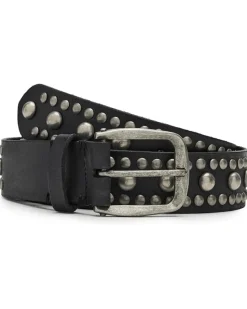 We The Free Sola Stud Belt