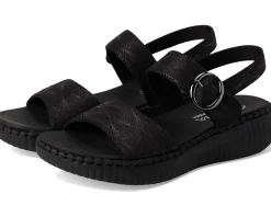 Wilshire Boulevard - Illusion Of Love