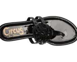 Women's Circus NY by Sam Edelman Canyon