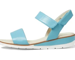 Women's David Tate Scala