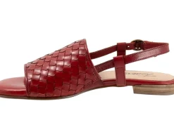 Women's Trotters Nola