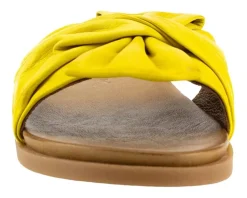 Women's Unity in Diversity Diona 01