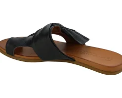 Women's Unity in Diversity Kira 162